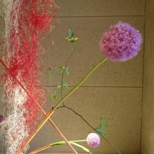 Arita Huis 外观 照片